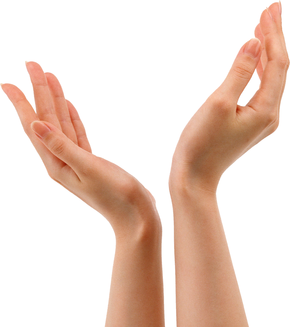 Hands PNG, hand image free