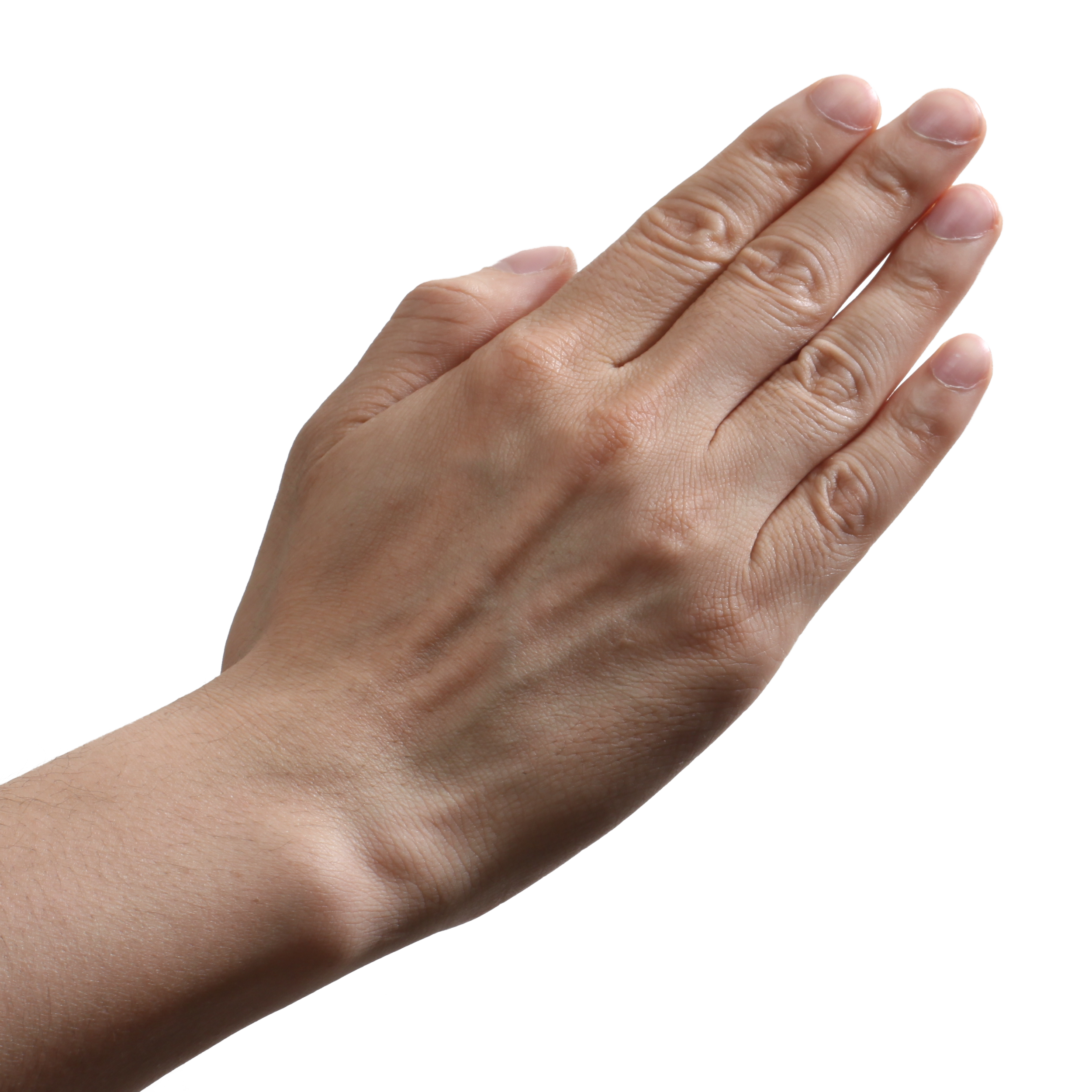 Hands PNG, hand image free