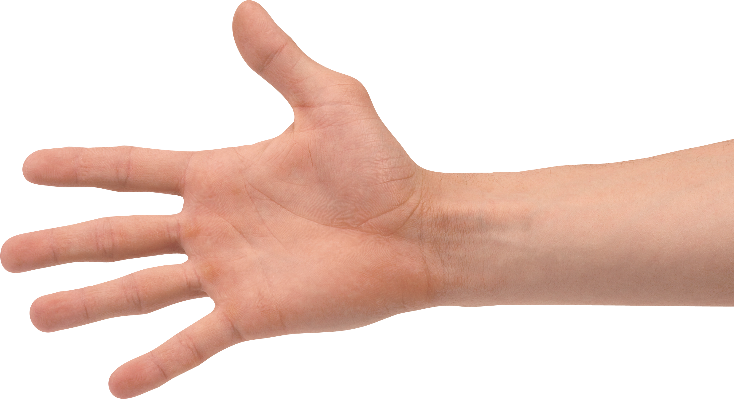 Hands PNG, hand image free