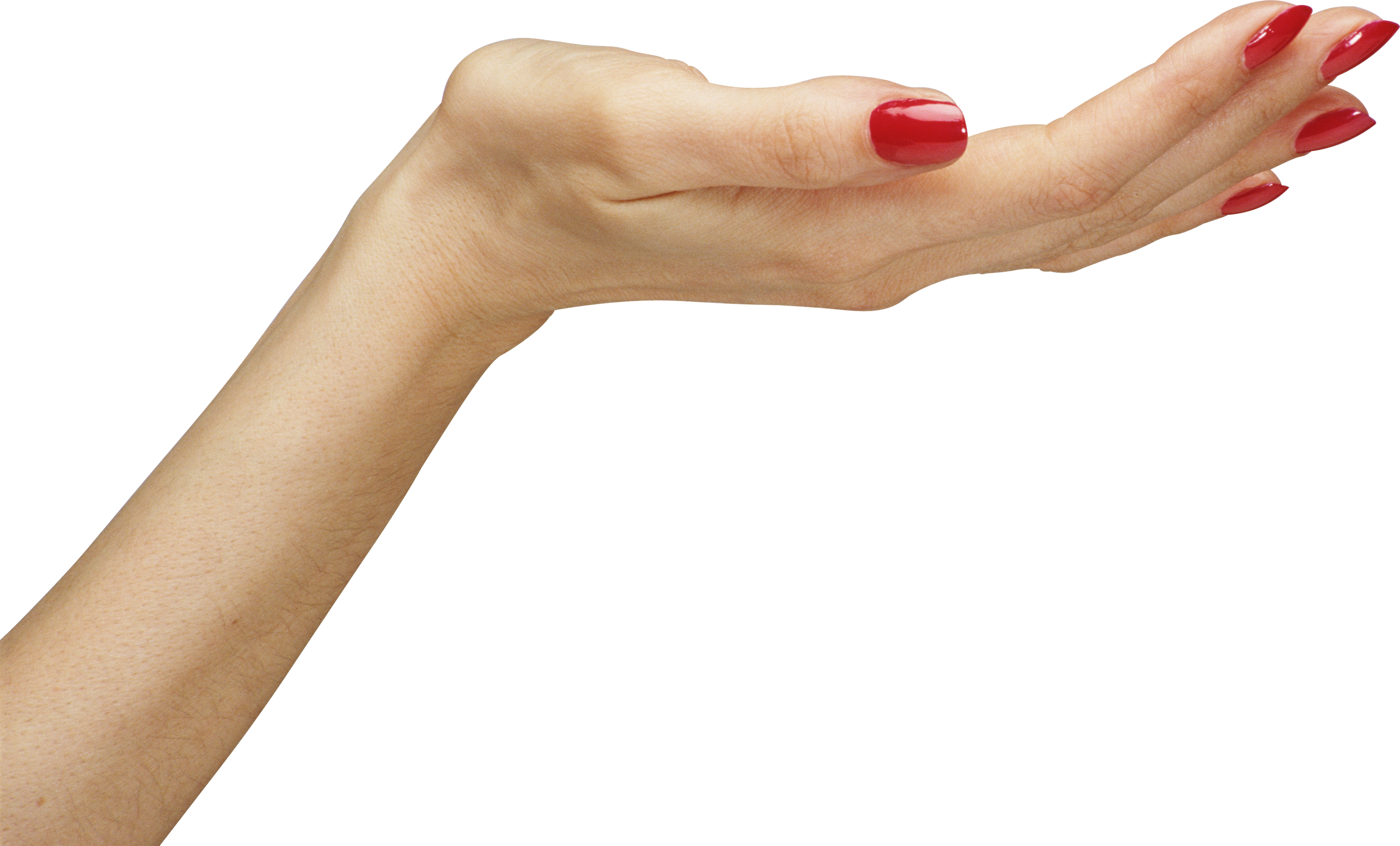 Hands PNG, hand image free