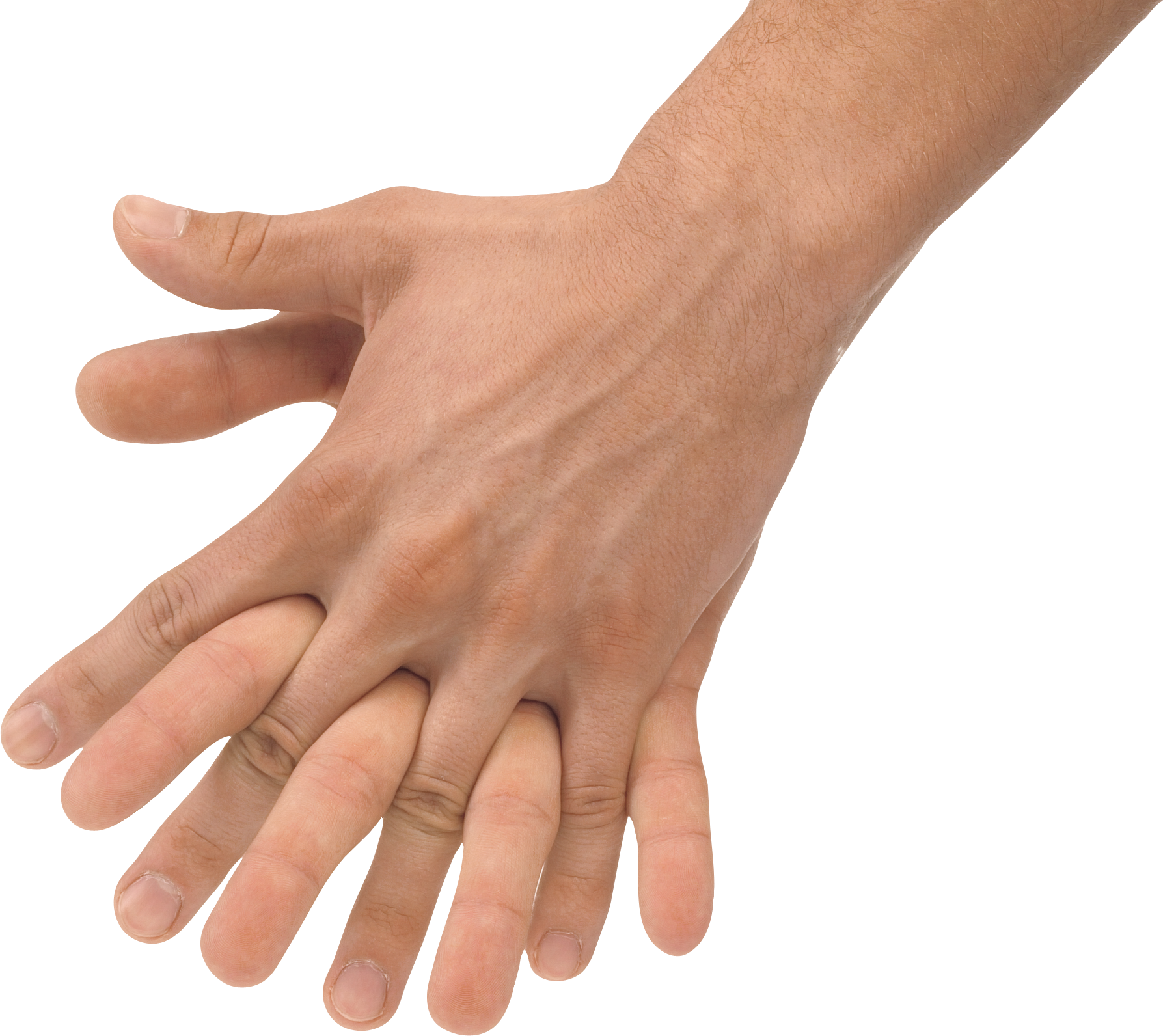 Hands PNG, hand image free