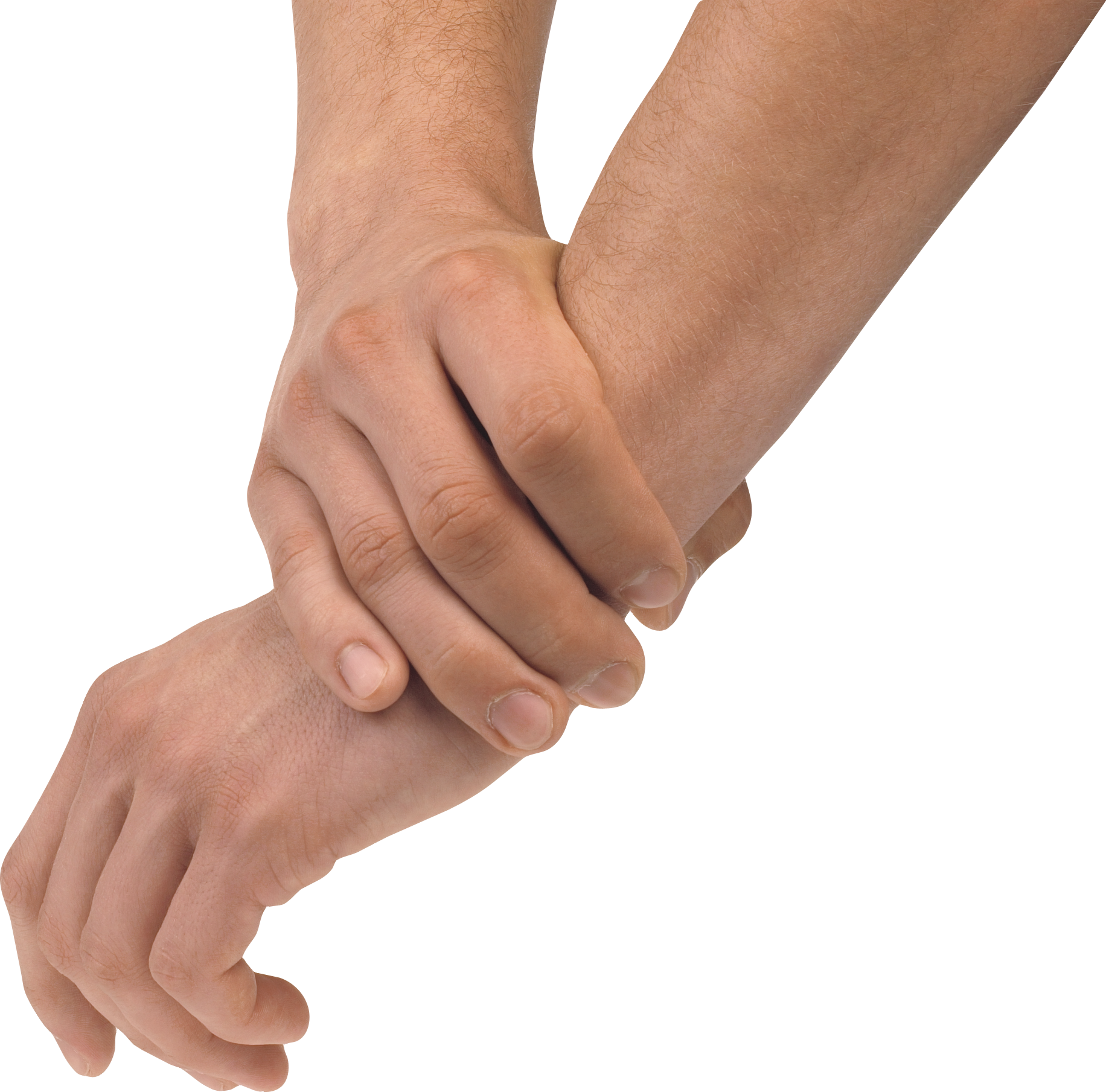 Hands Png Hd Transparent Hands Hd Png Images Pluspng Vrogue Co