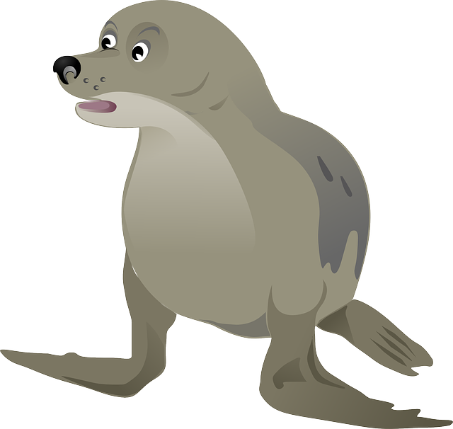 Foca de puerto PNG