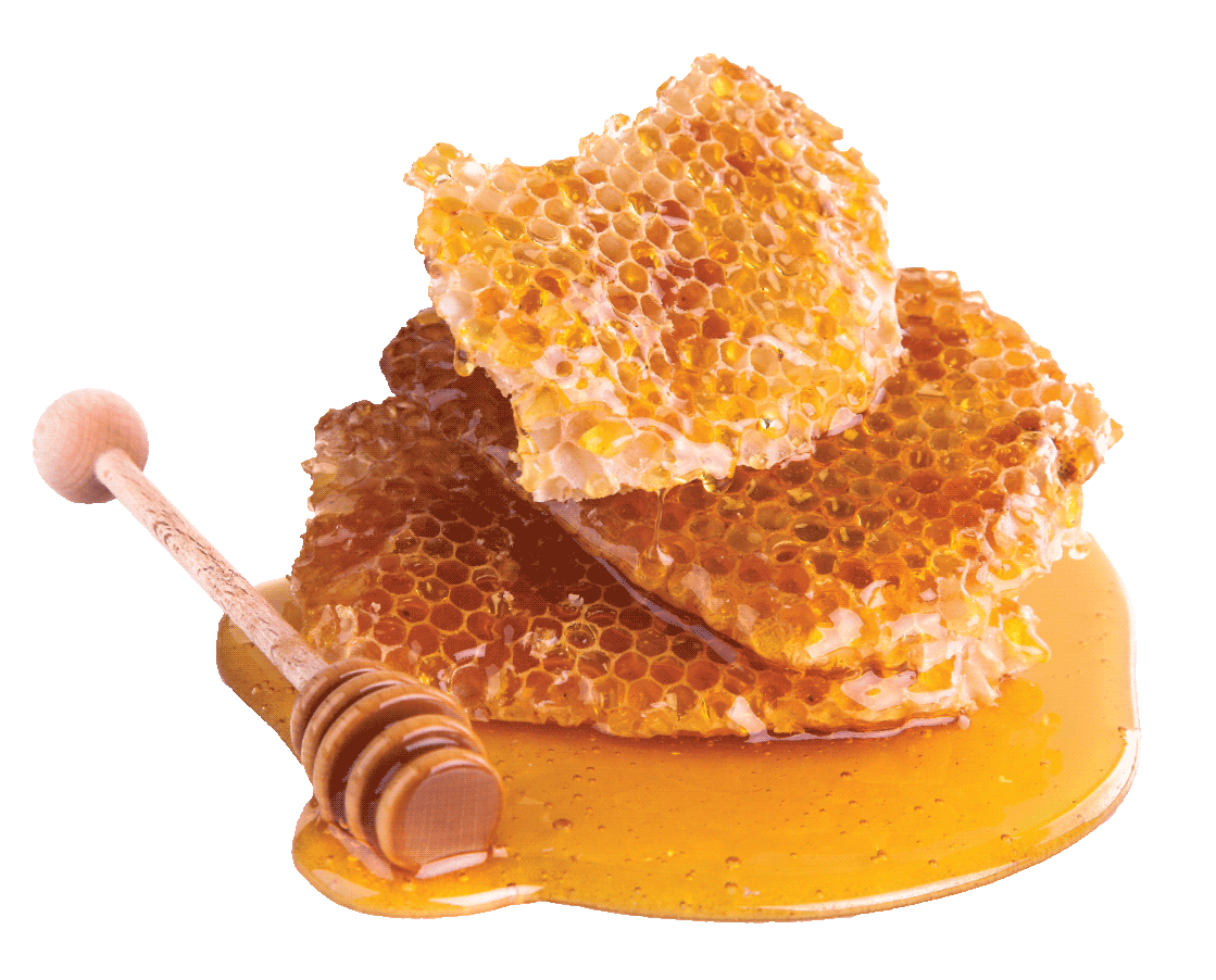 Honey PNG images