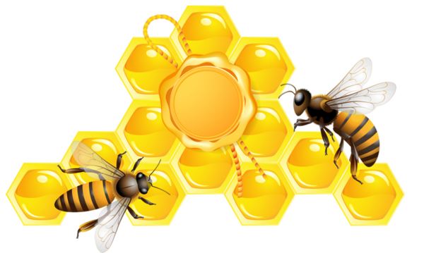 Honey PNG