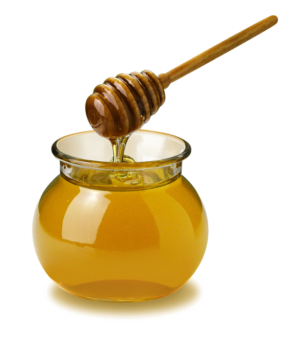 Honey wilder porn star