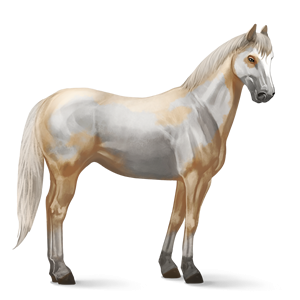 horse png image, free download picture, transparent background
