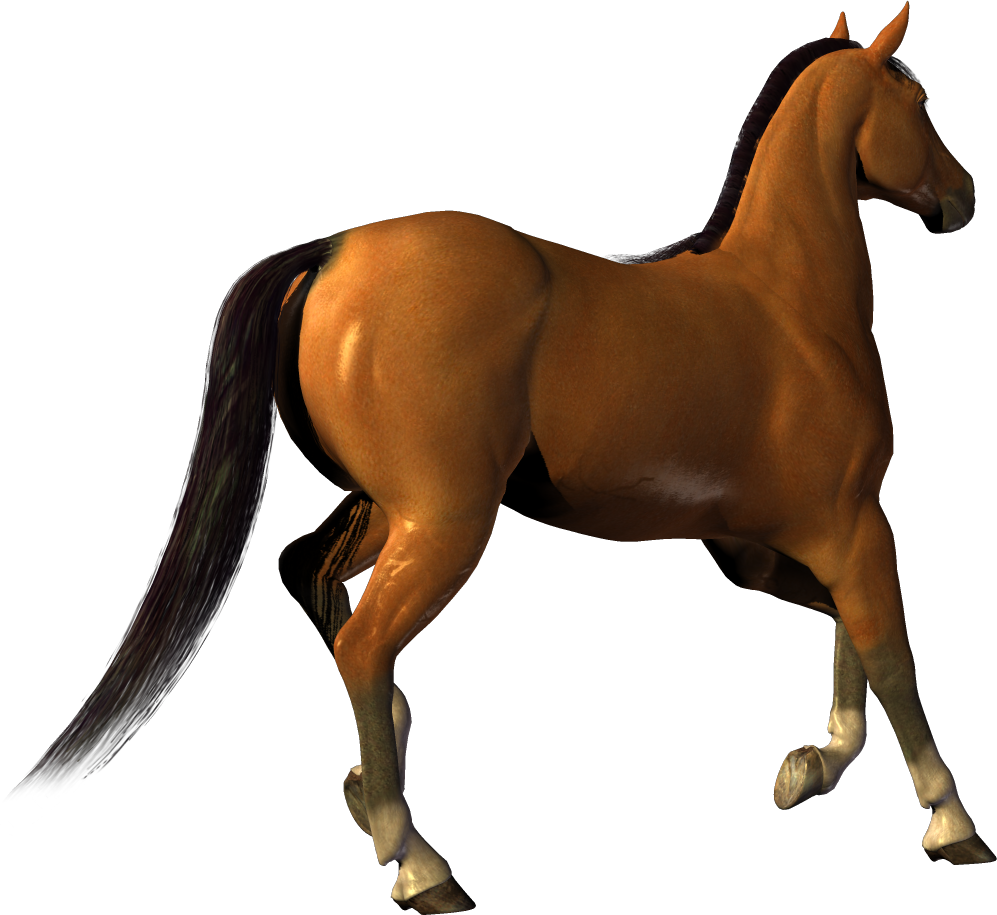 Caballo PNG