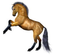 Лошадь PNG фото