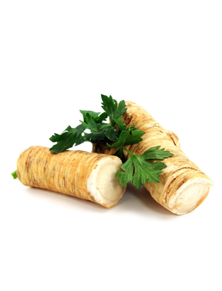 Horseradish PNG image free Download