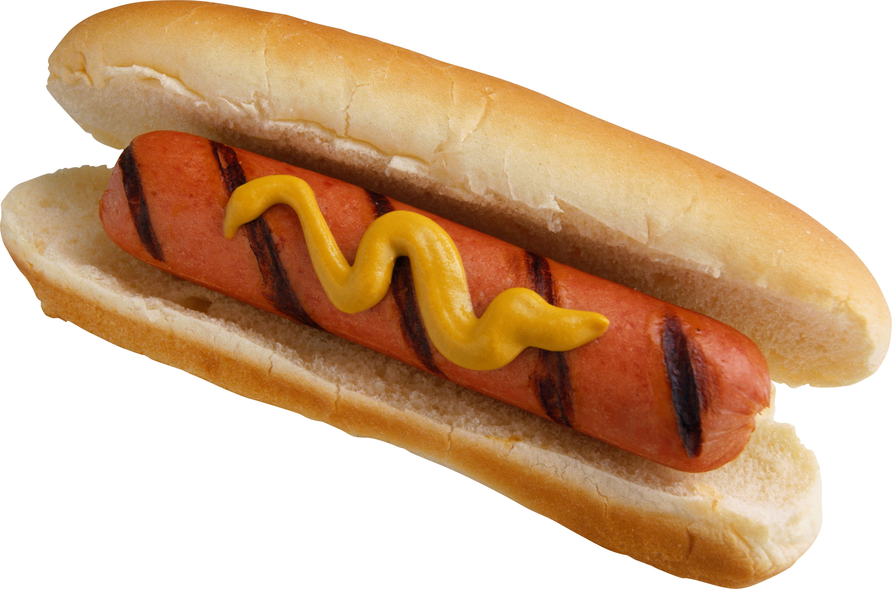 Perrito caliente PNG