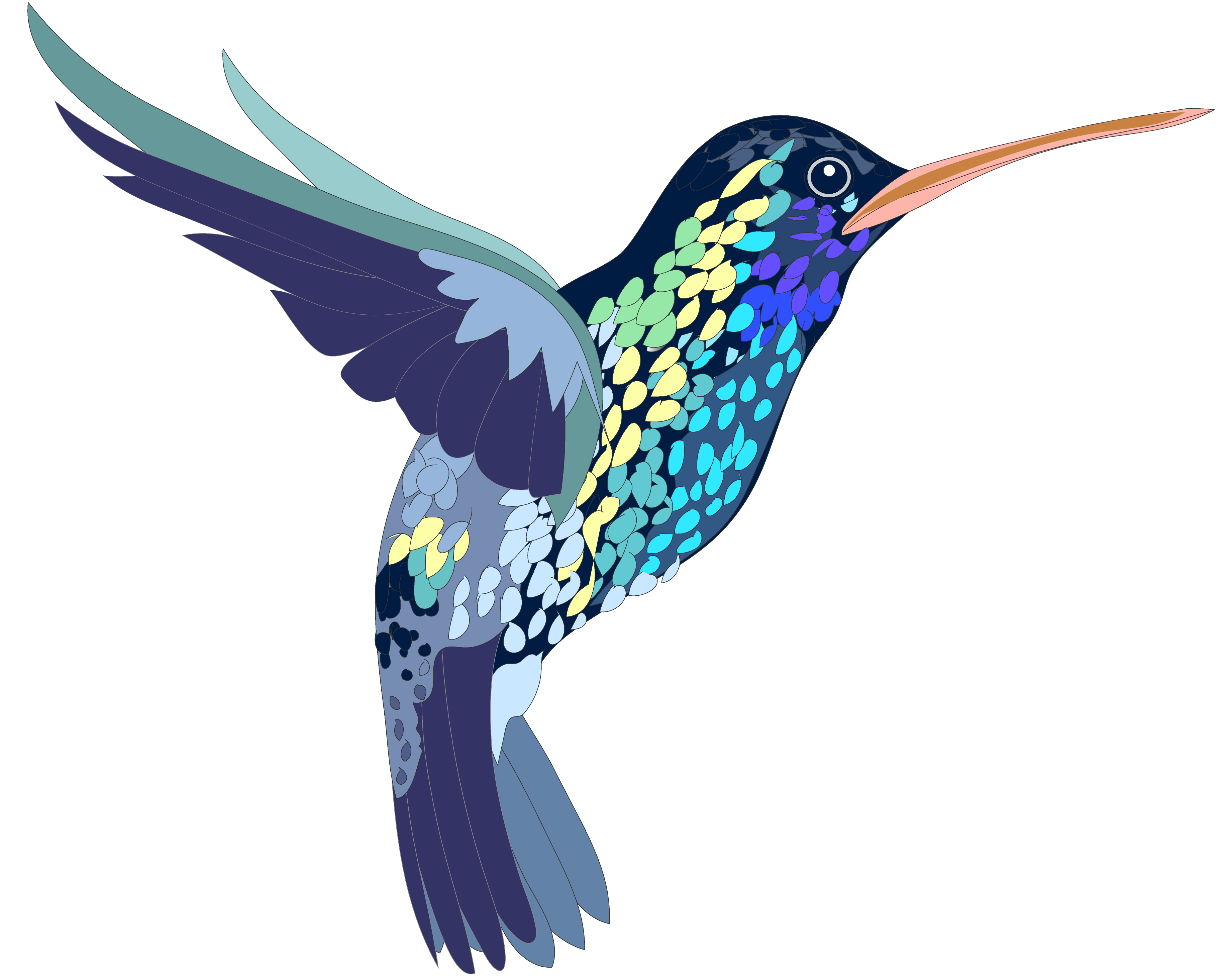 Colibrí PNG