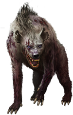 Hyena PNG images
