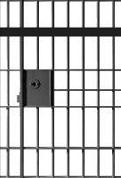 celda, Barras de la prisión PNG