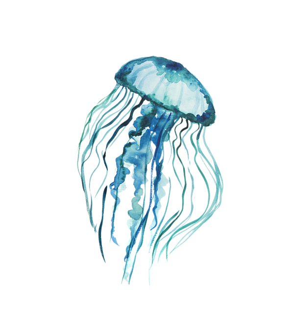 Jellyfish PNG images