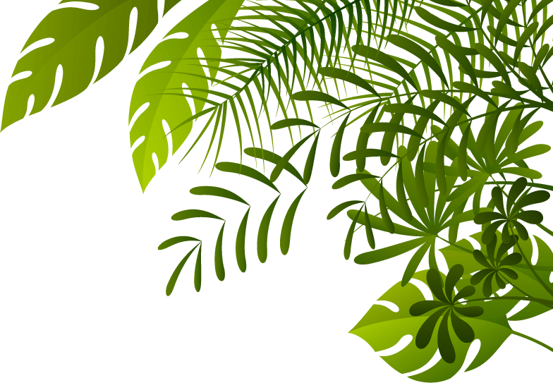 Selva PNG