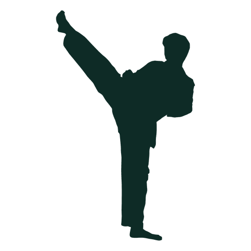 Karate PNG