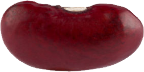 Kidney beans PNG