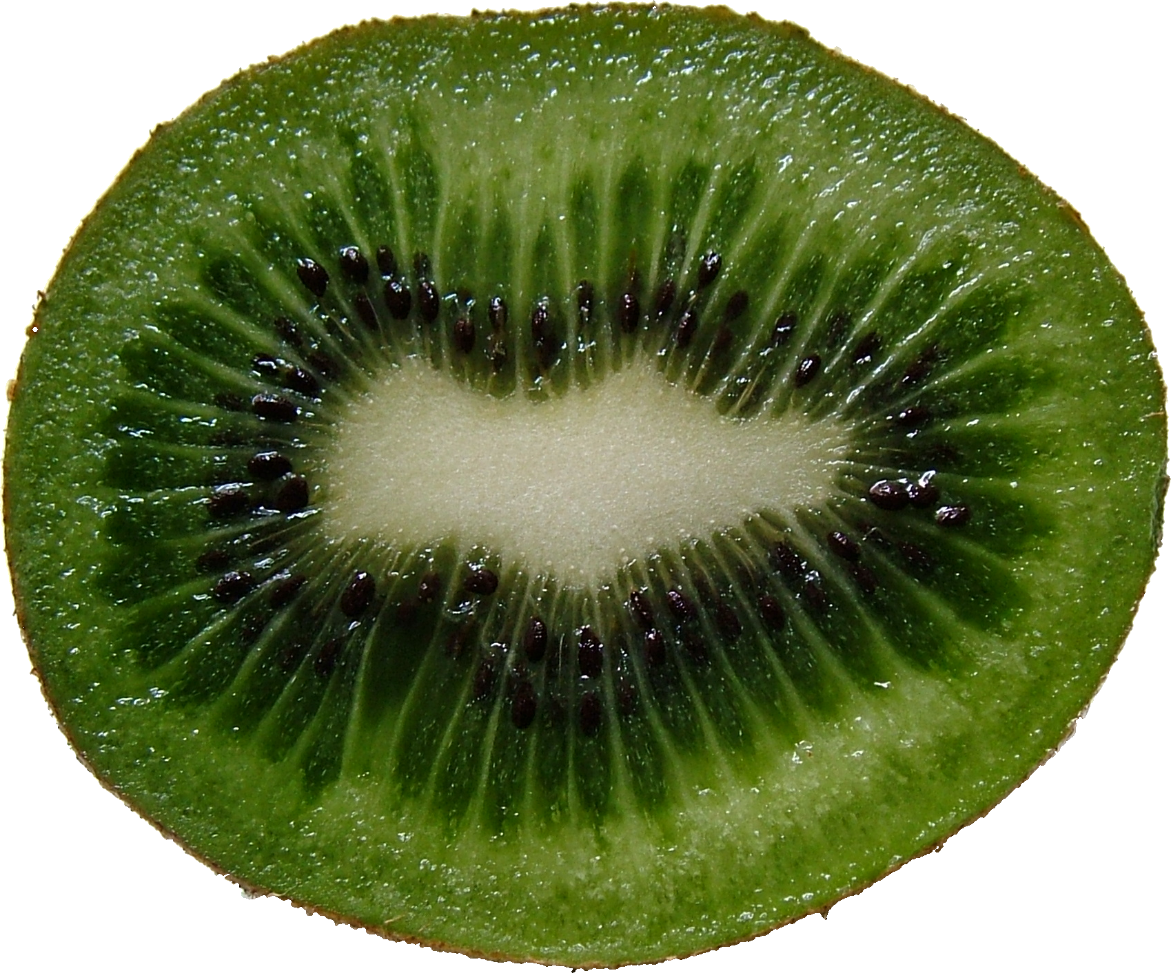 Kiwi PNG images