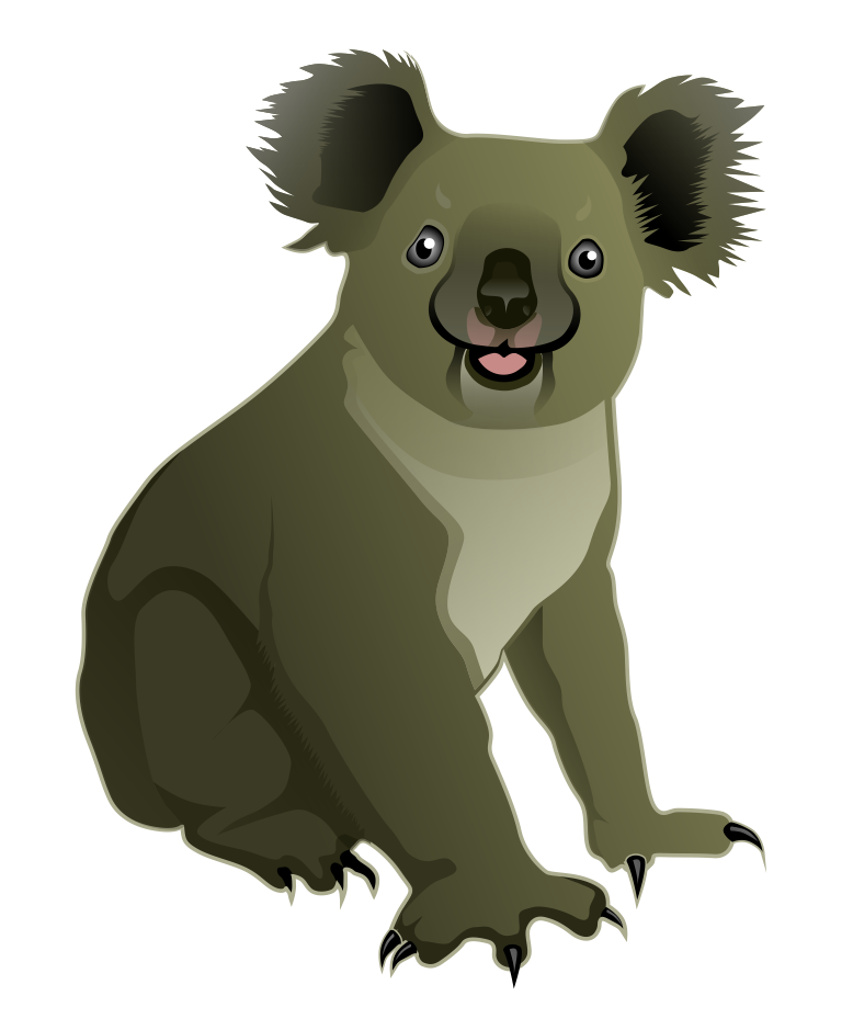 Koala PNG images