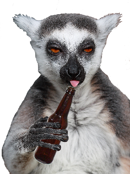 Lemur PNG images Download