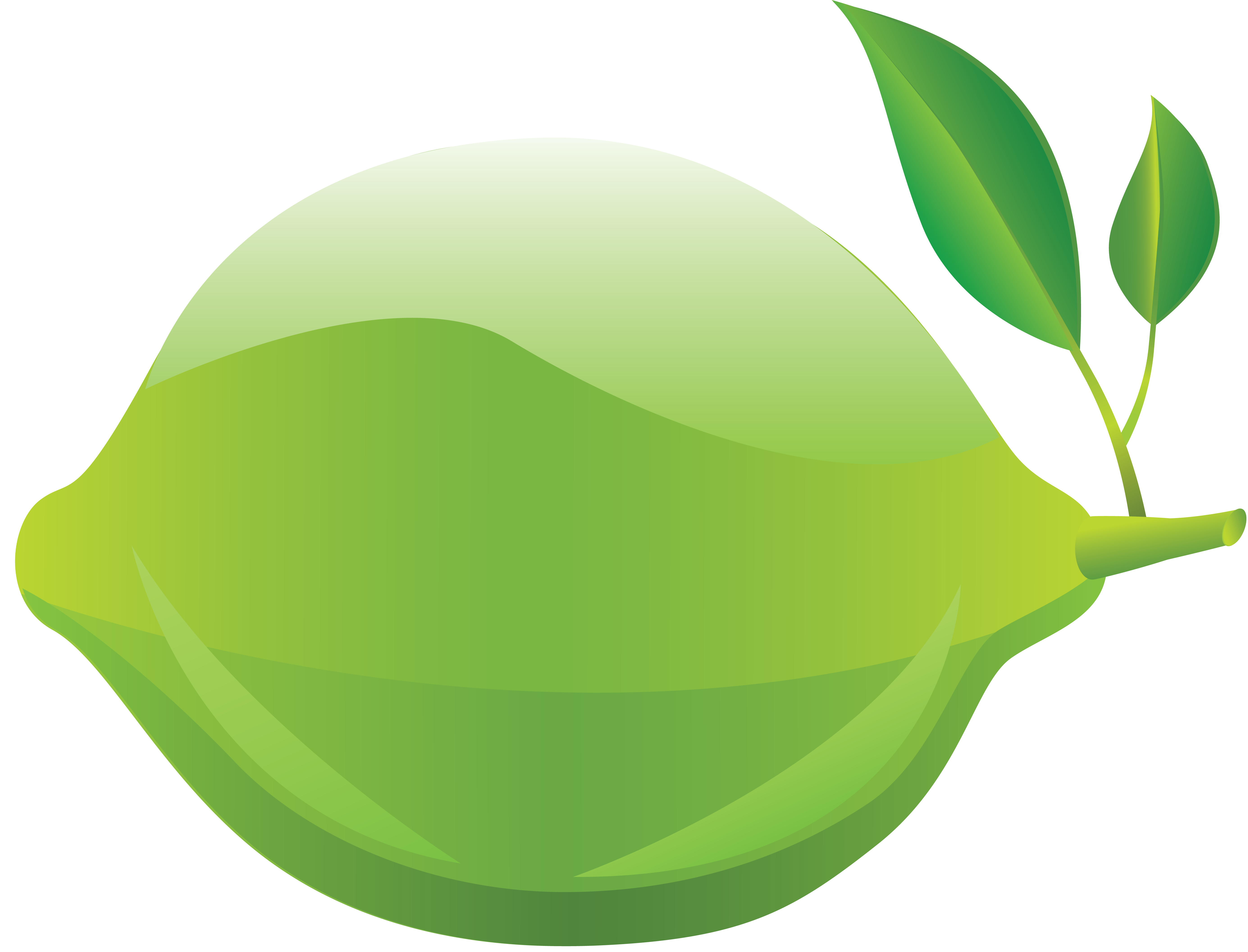 Lime PNG image free Download