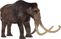 Mammut PNG