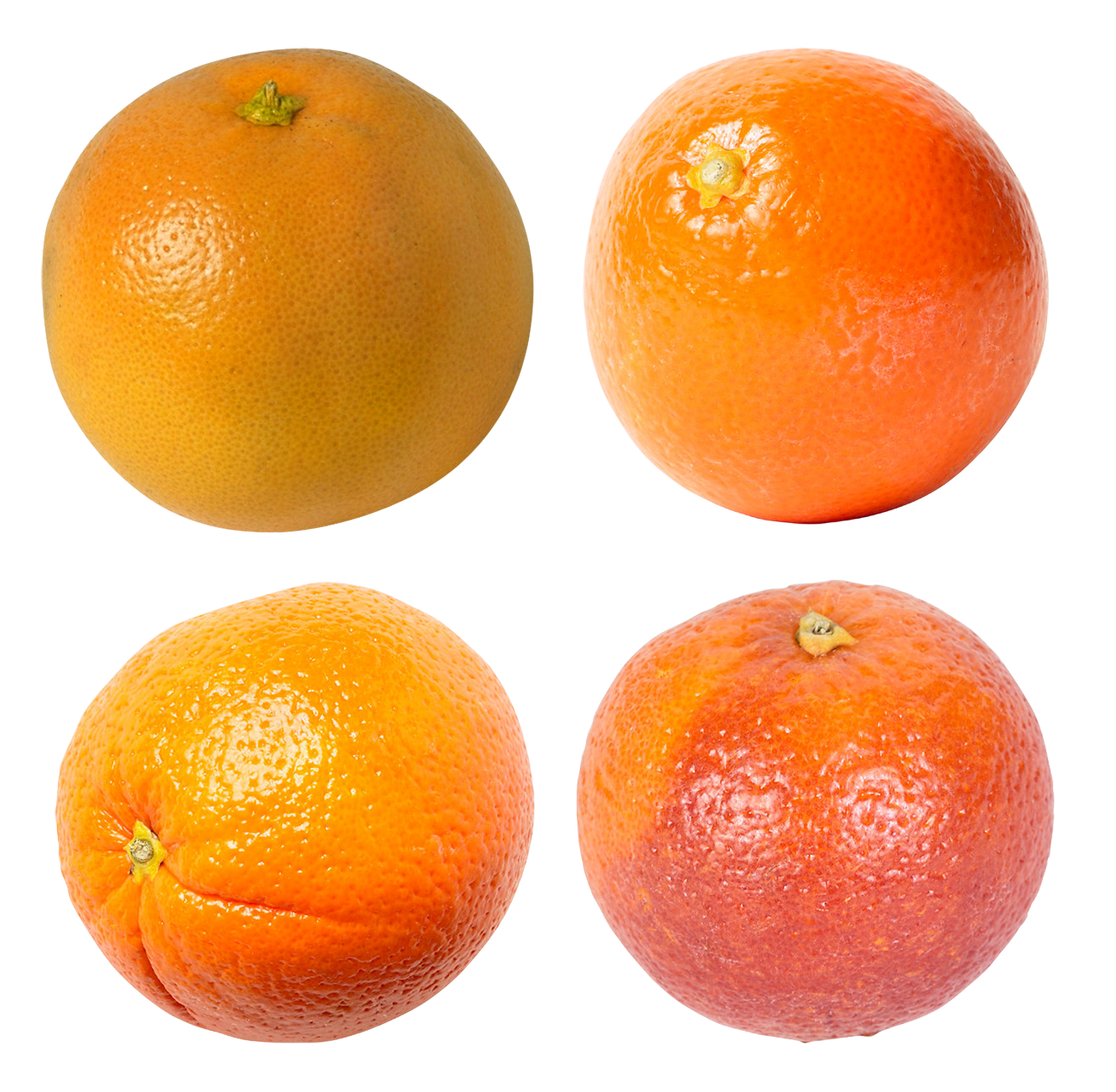 Mandarin PNG images