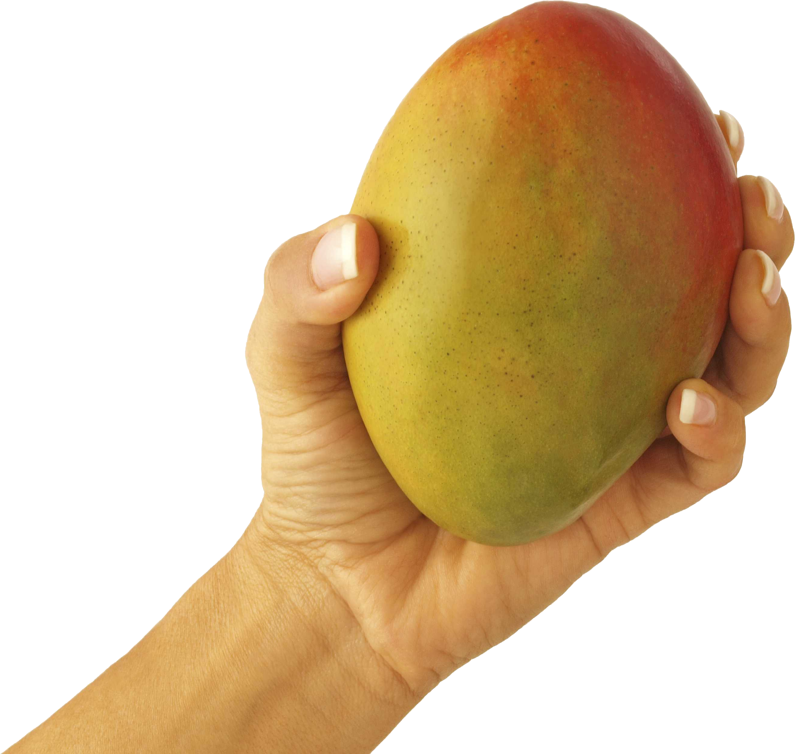 Mango in hand PNG image