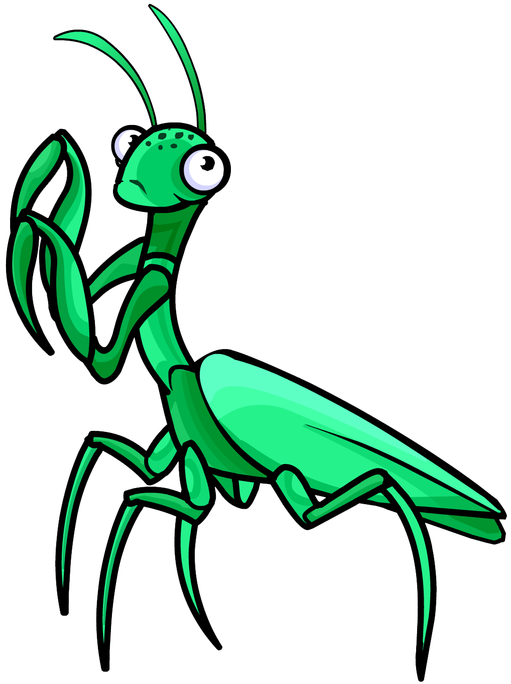 Mantis PNG images Download 