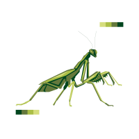 Mantis PNG