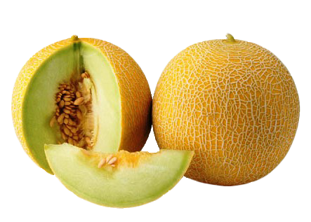 Melón PNG