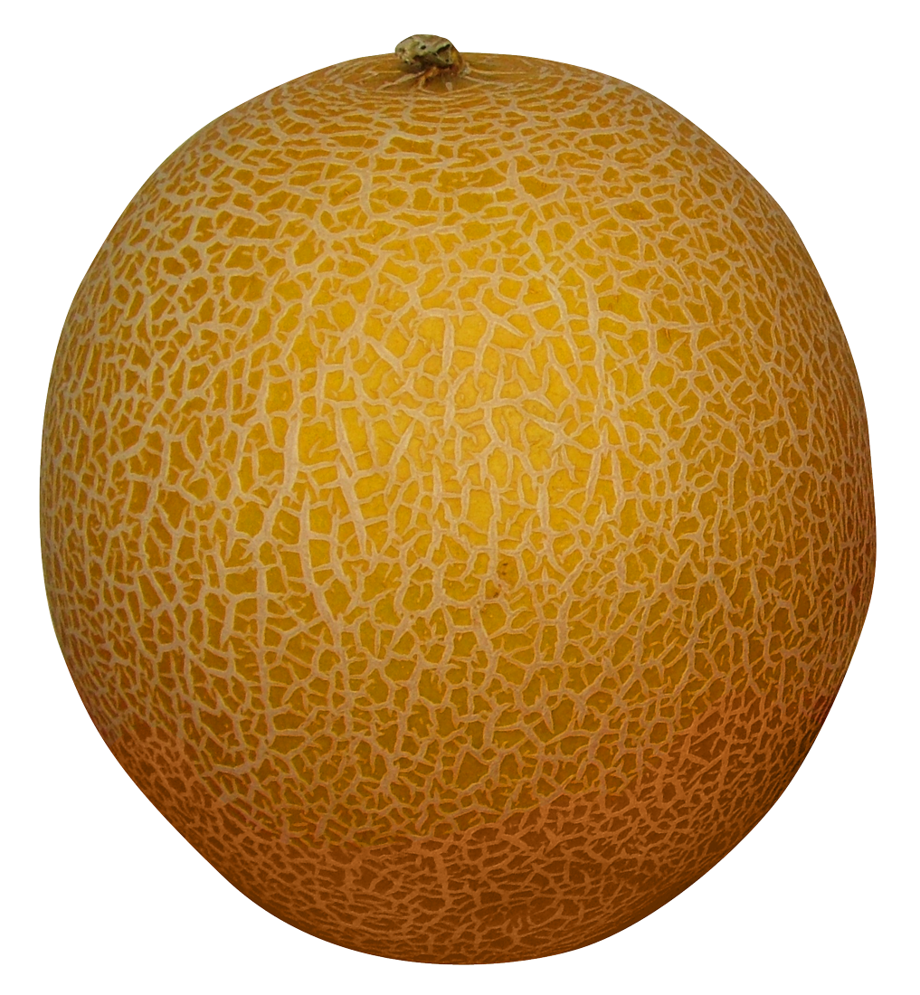 Melón PNG