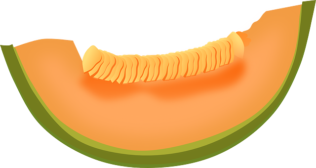 Slice melon PNG