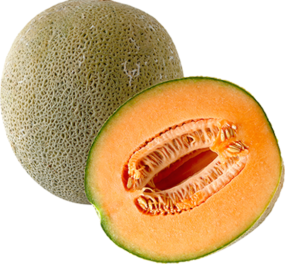 Melon PNG images Download