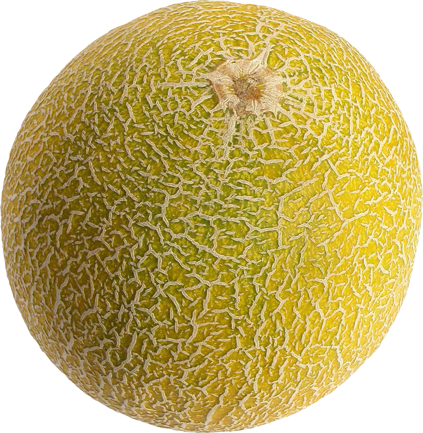 Melón PNG