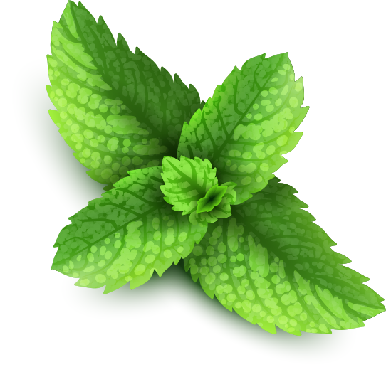 Mentha PNG