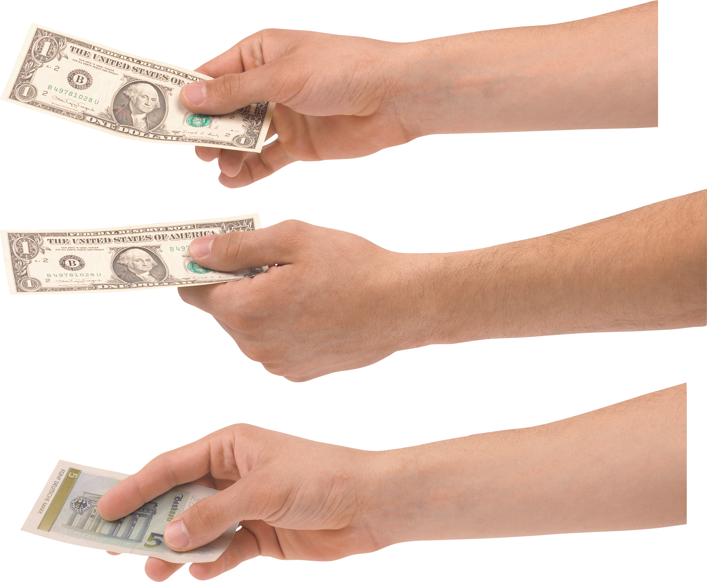 Money dollars in hand PNG image