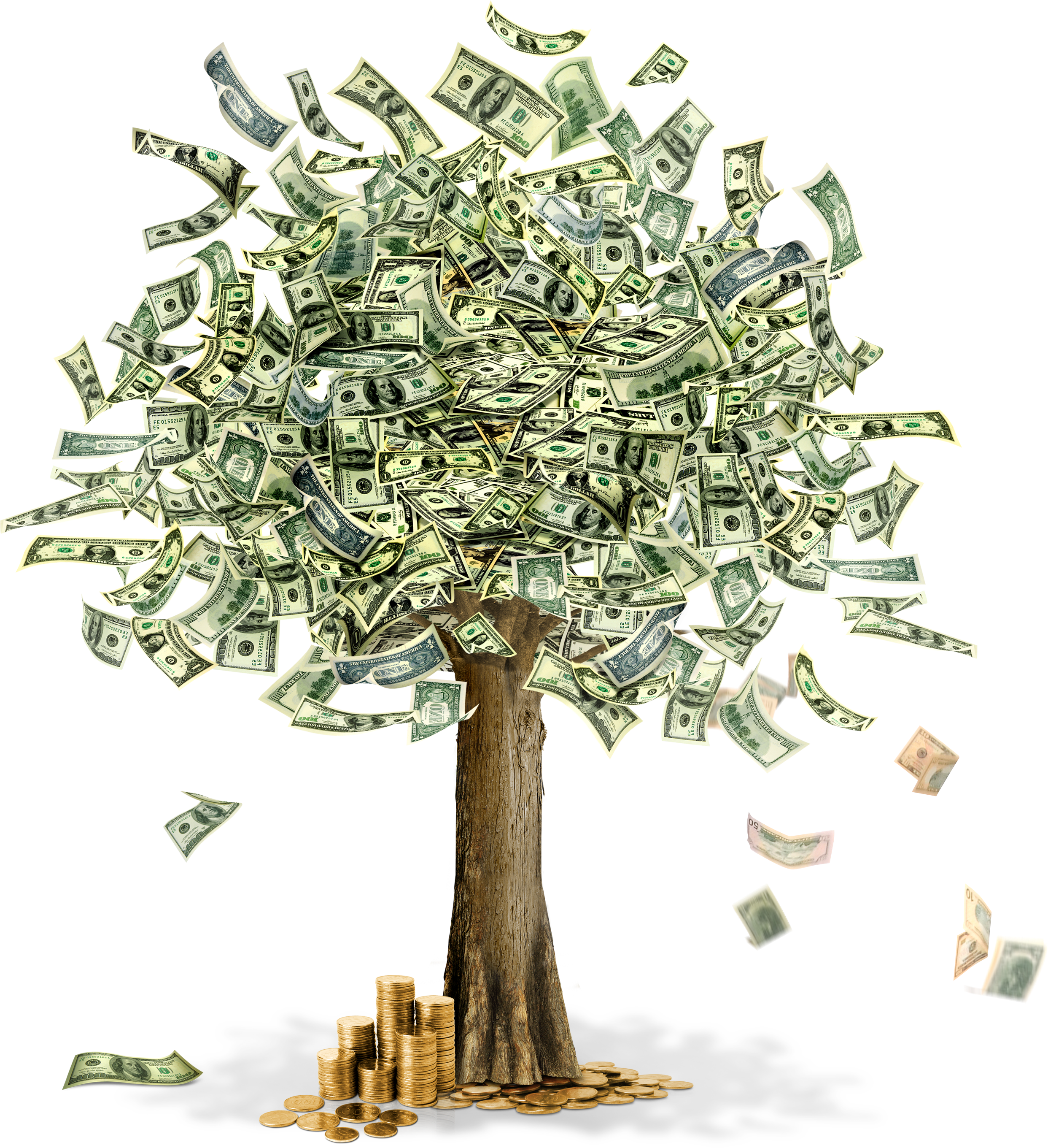 clipart of money tree - photo #47