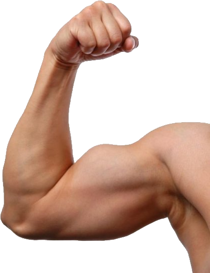 Muscle hand PNG