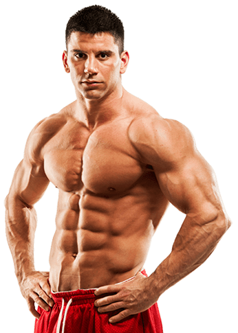 Muscle body PNG