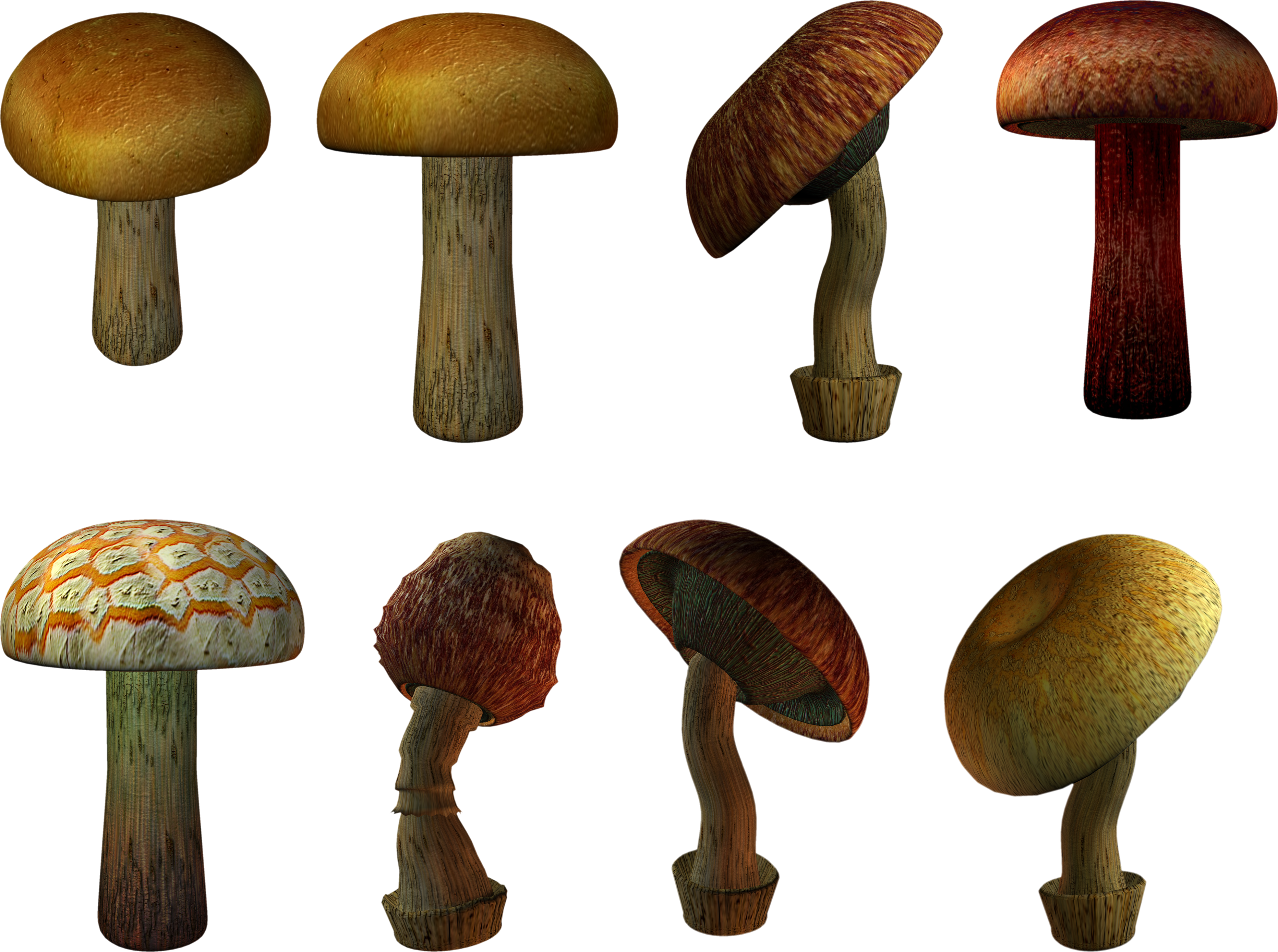 Mushroom PNG images Download