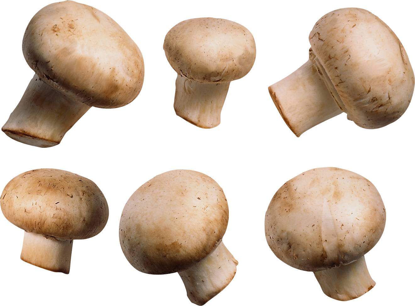 Mushroom PNG images Download