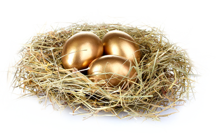 Nest PNG image free Download