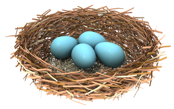 Nest PNG image free Download