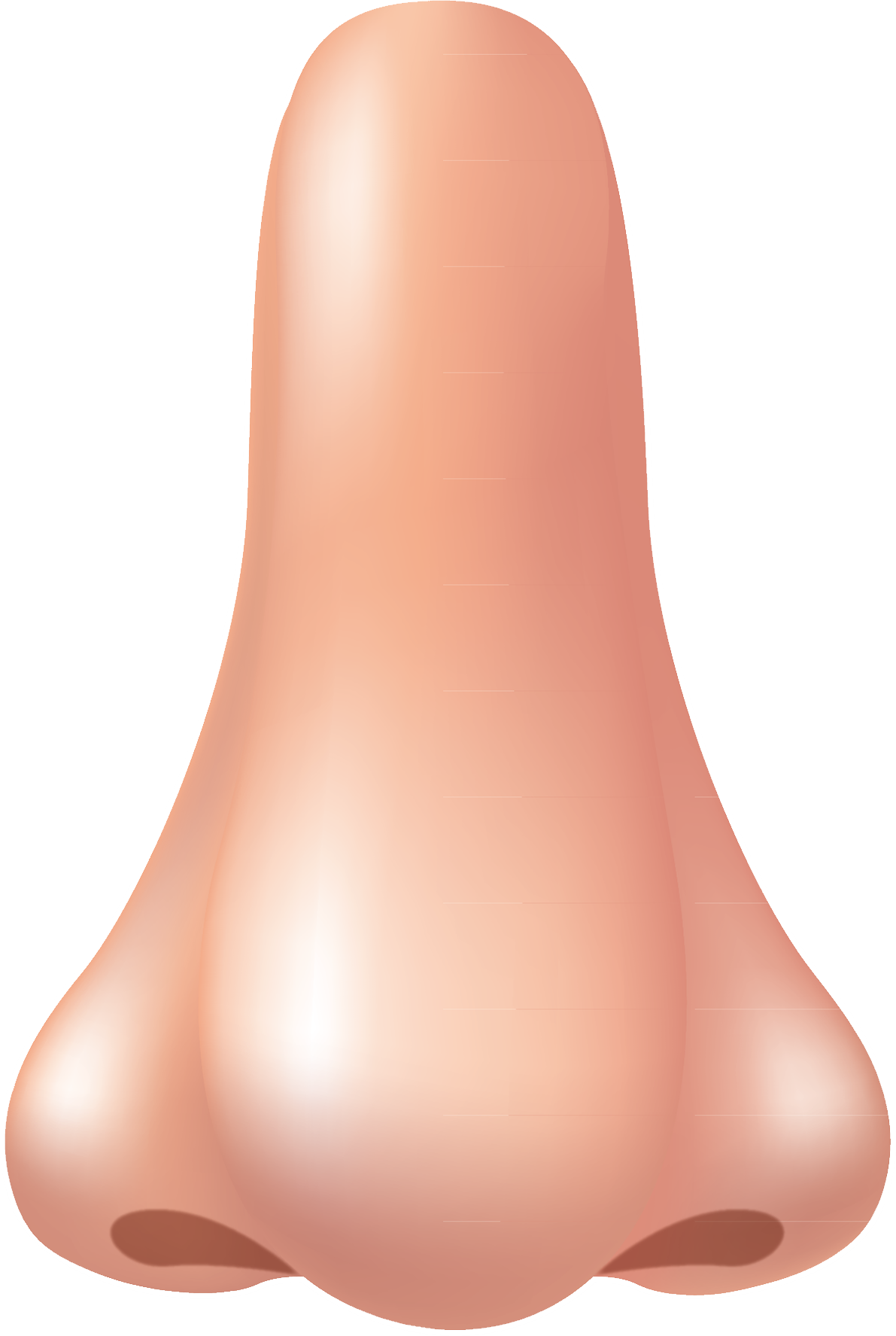 Nose PNG images 