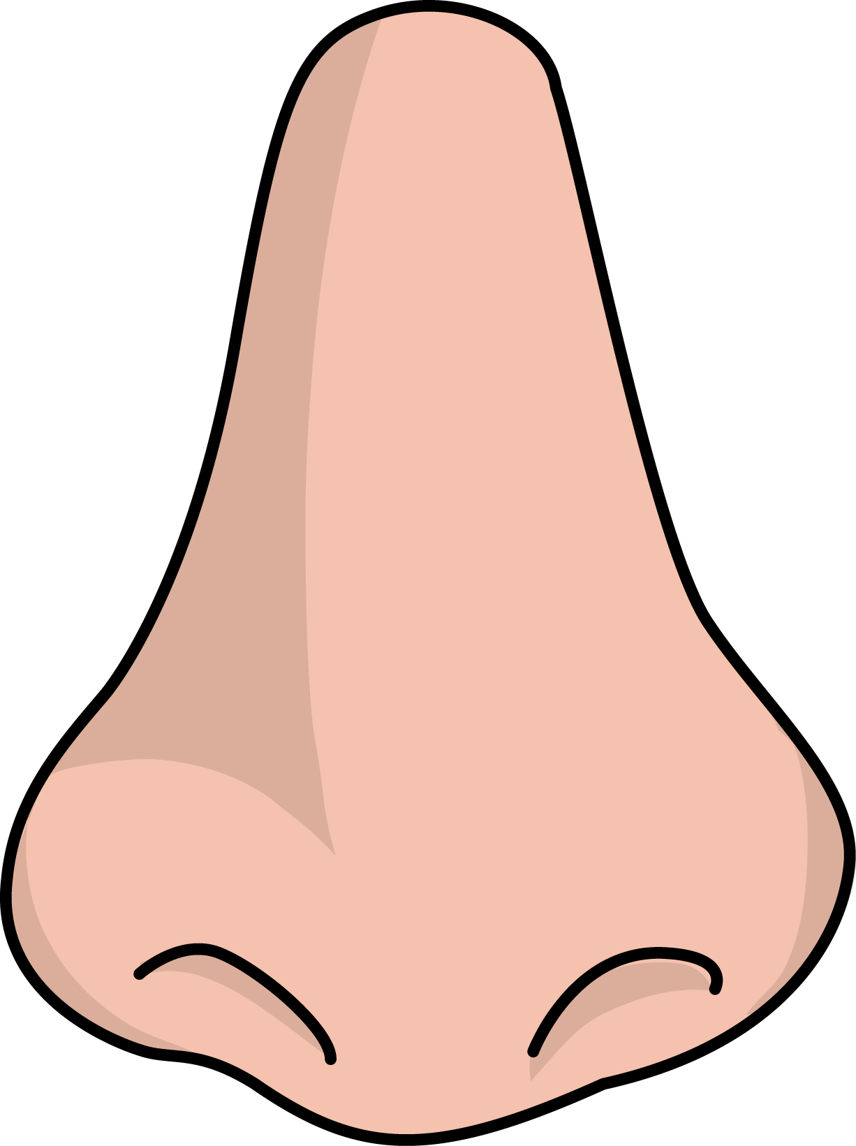 Human Nose PNG