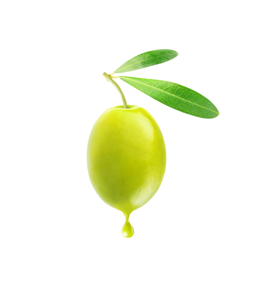 Aceitunas PNG