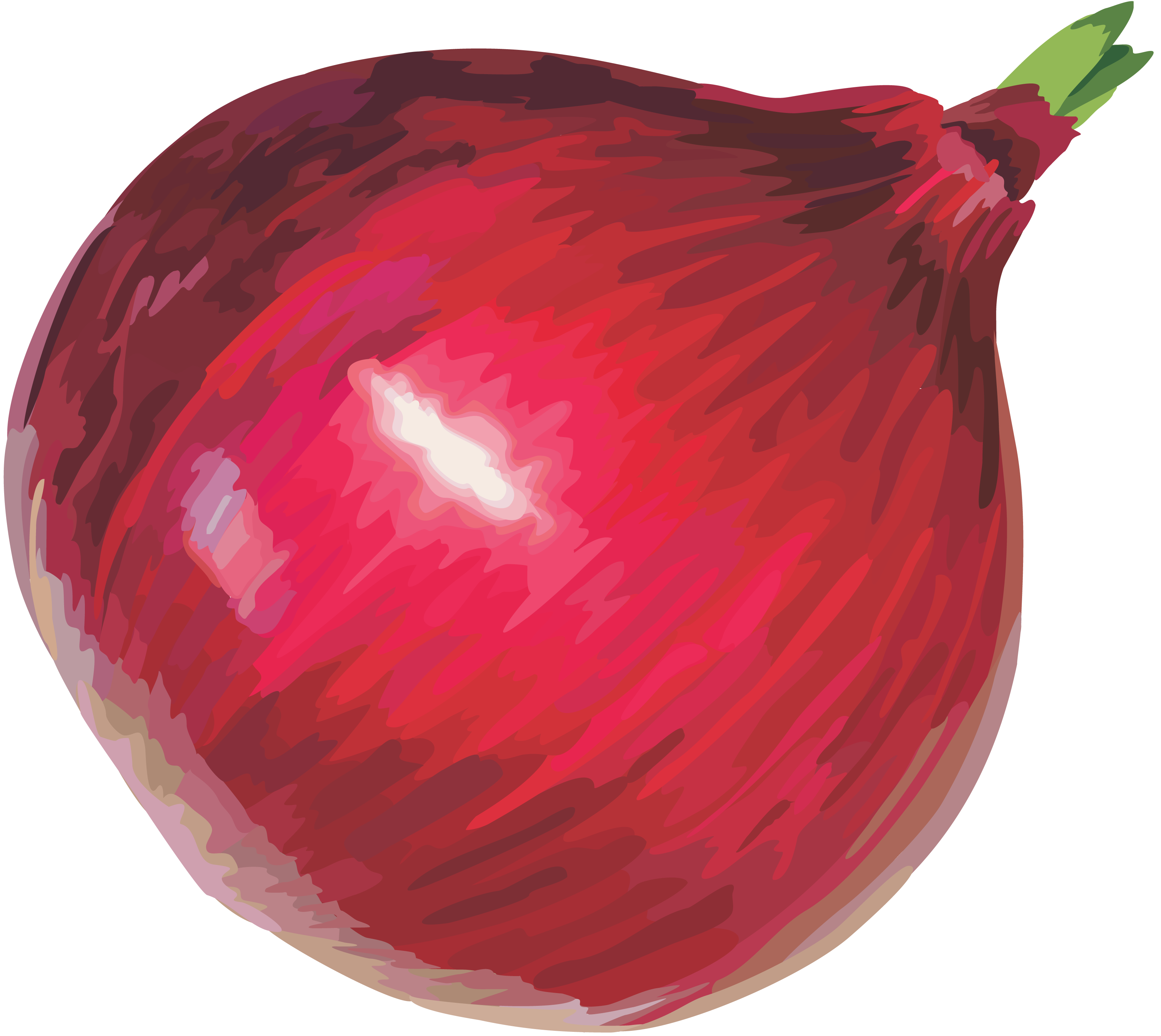 Onion PNG images Download