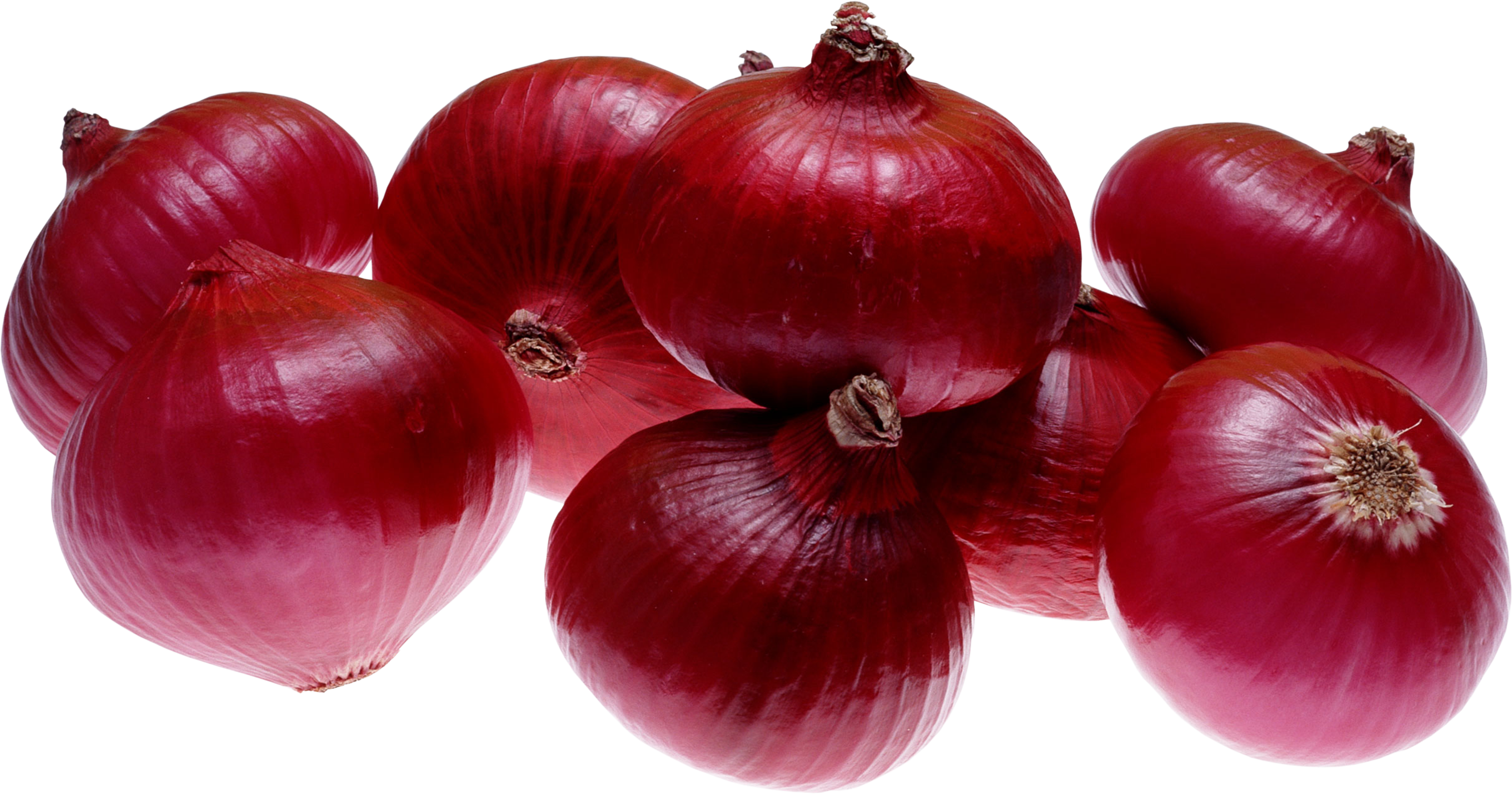 Onion PNG images Download